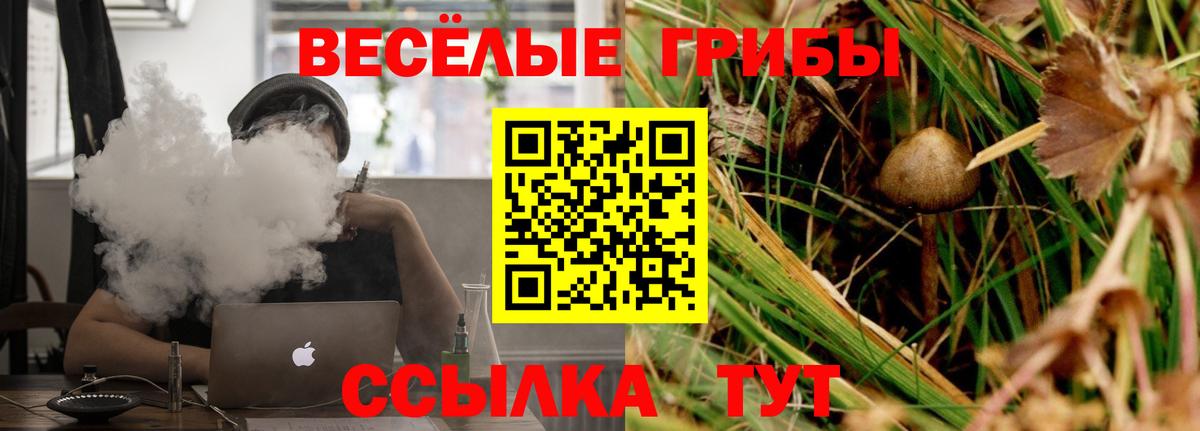 Галлюциногенные грибы Psilocybine cubensis  Вход с VPN  Серов 